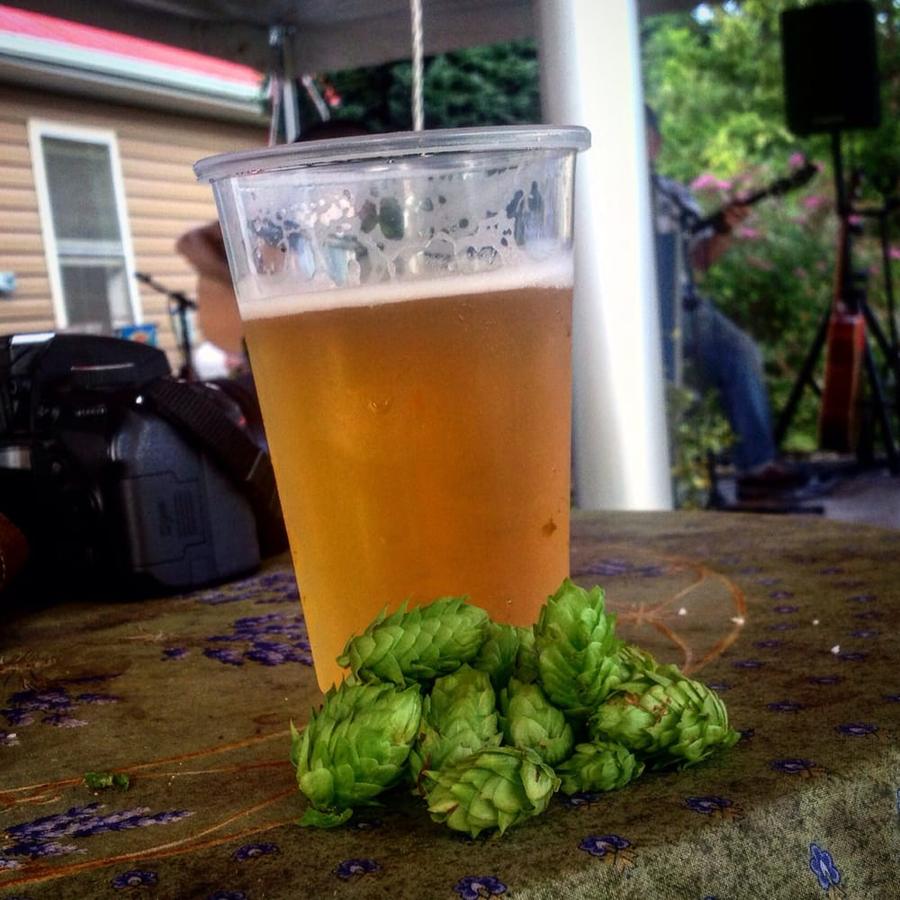 A cold beer beside fresh hop cones, live music behind