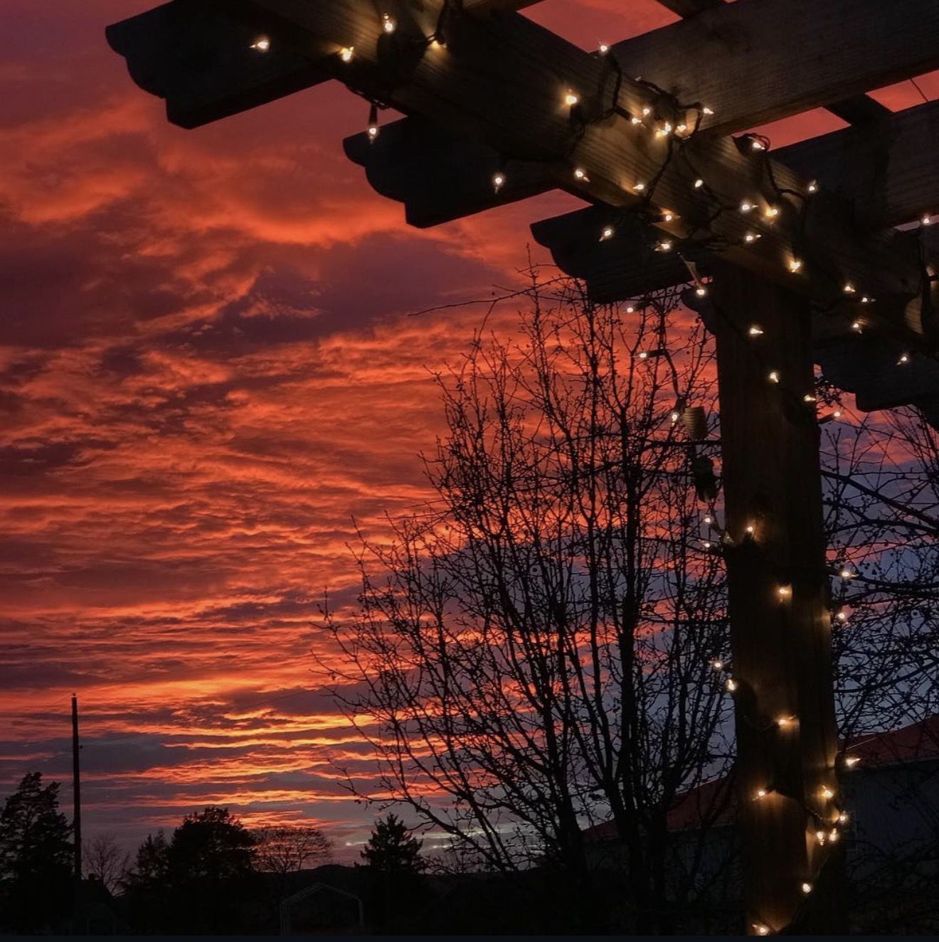 A fiery sunset behind the string-lit pergola at the brewery
