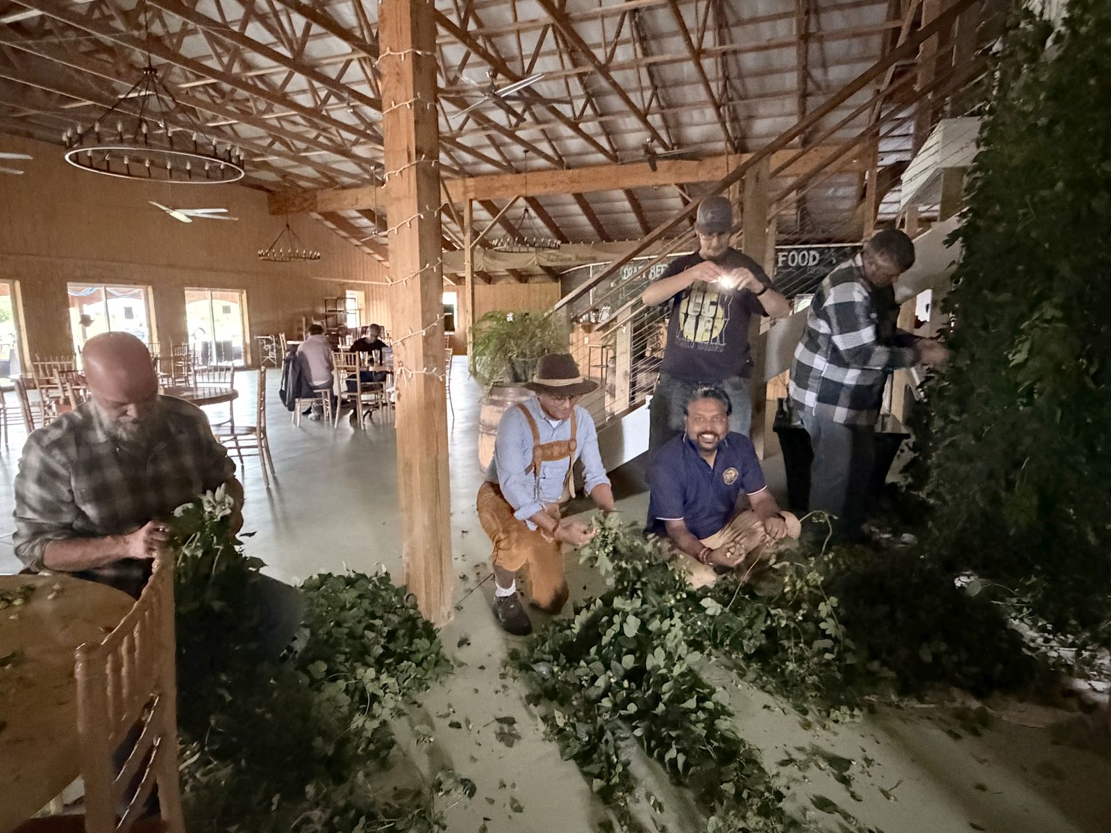 Pickers kneeling among hop bines on the barn floor, one in lederhosen and a felt hat